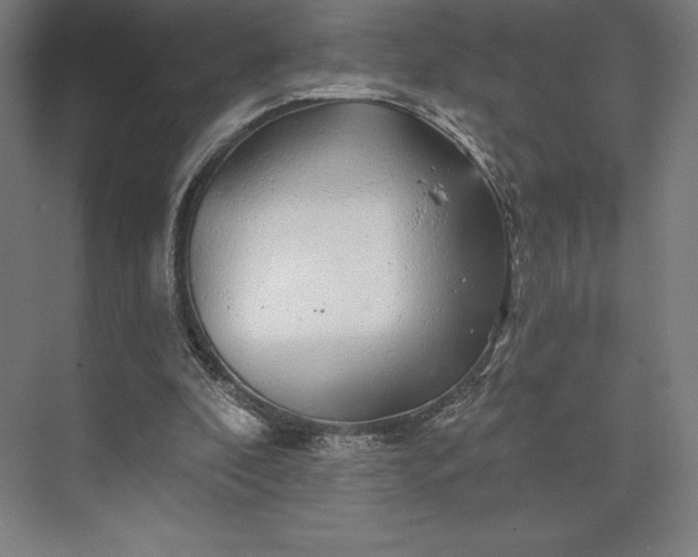 X0000074040296200609061215