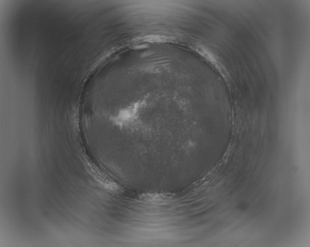 X0000074040297200609061215