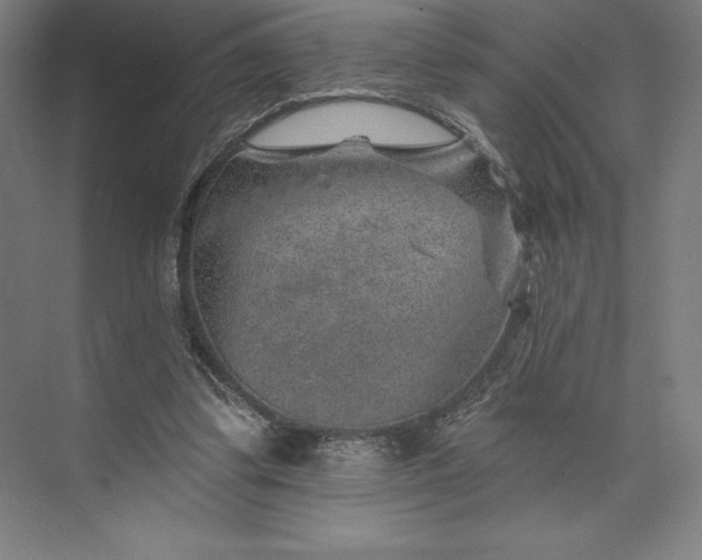 X0000074040299200609061214