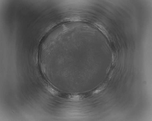 X0000074040301200609061214