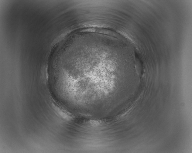 X0000074040302200609061214