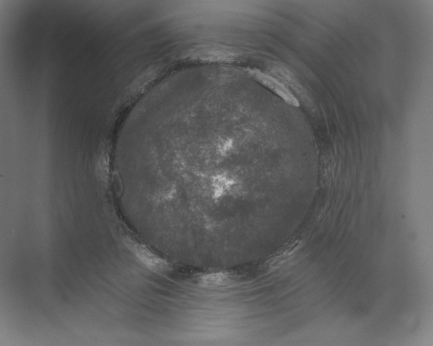 X0000074040309200609061214