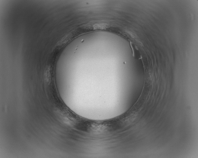 X0000074040311200609061214