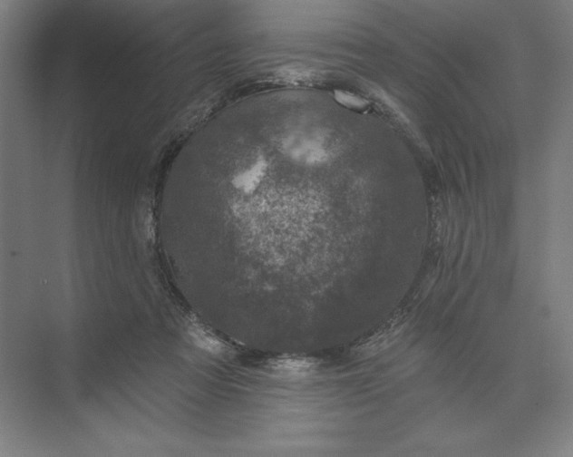 X0000074040313200609061214