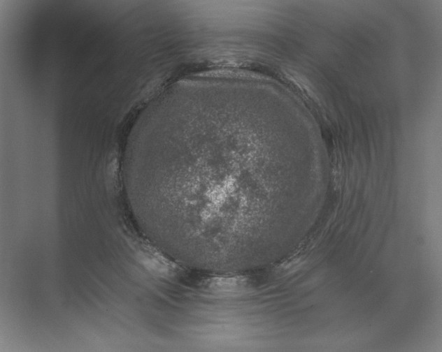 X0000074040314200609061214