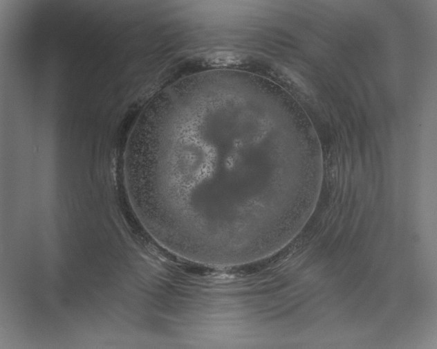 X0000074040315200609061214