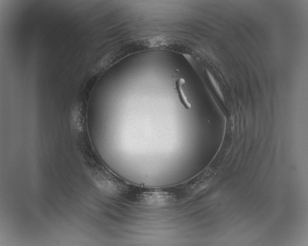 X0000074040316200609061214