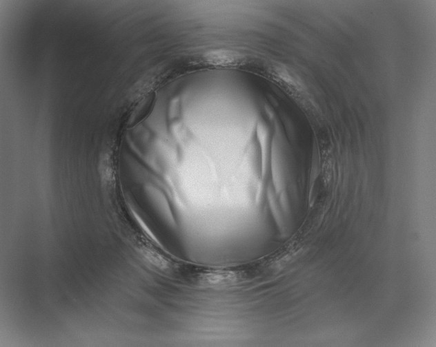 X0000074040317200609061214