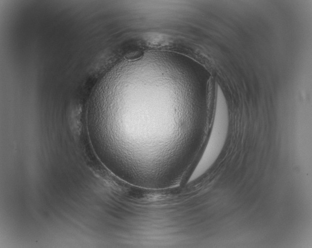 X0000074040319200609061214