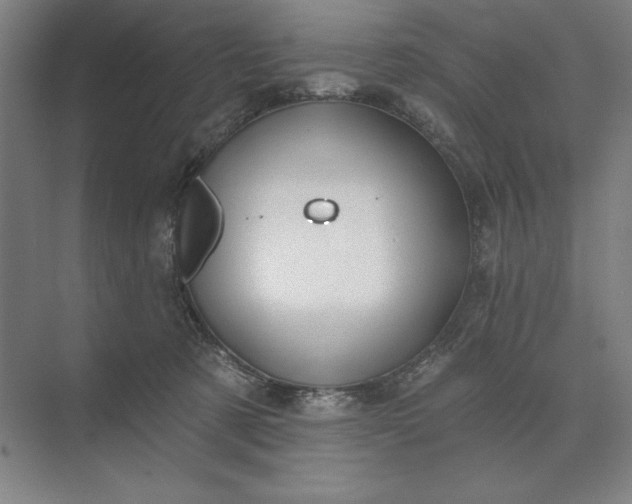 X0000074040321200609061214