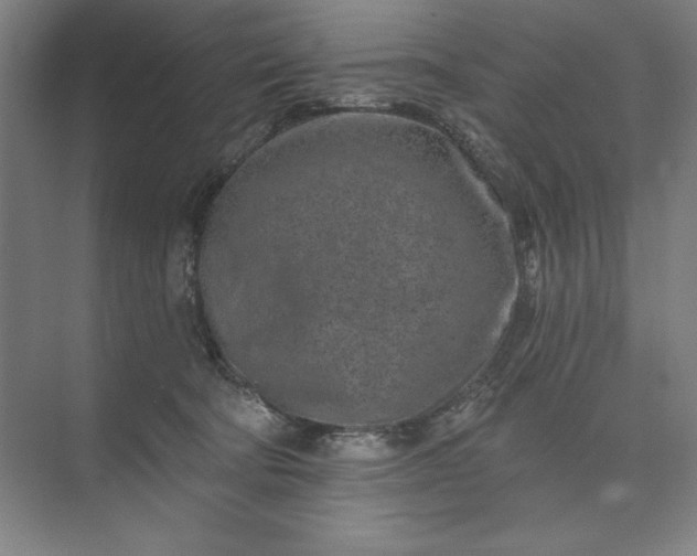 X0000074040322200609061214