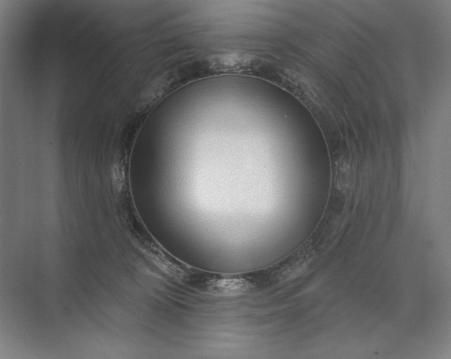 X0000074040324200609061214