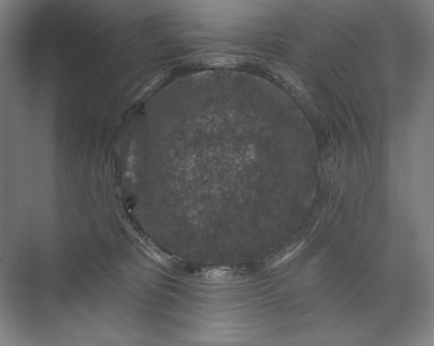 X0000074040325200609061214