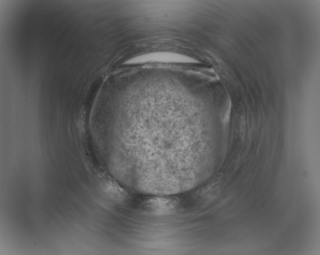 X0000074040326200609061214