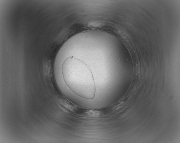 X0000074040328200609061214