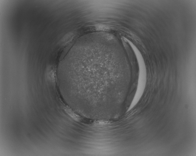 X0000074040329200609061214