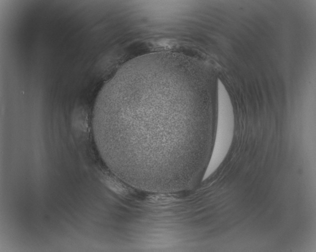 X0000074040331200609061214