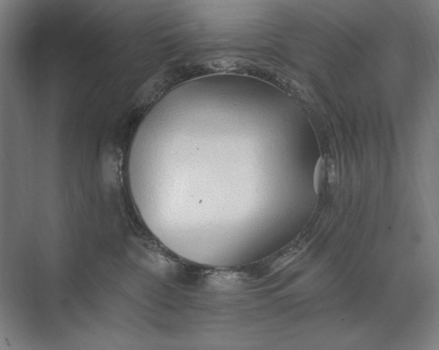 X0000074040332200609061214