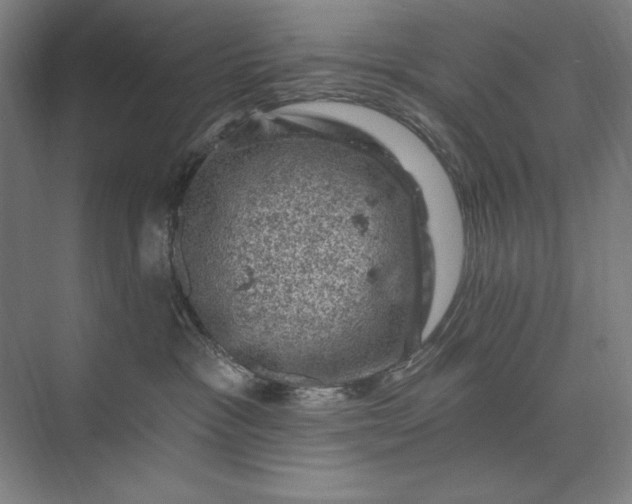 X0000074040333200609061214