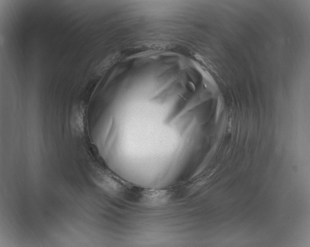 X0000074040334200609061214