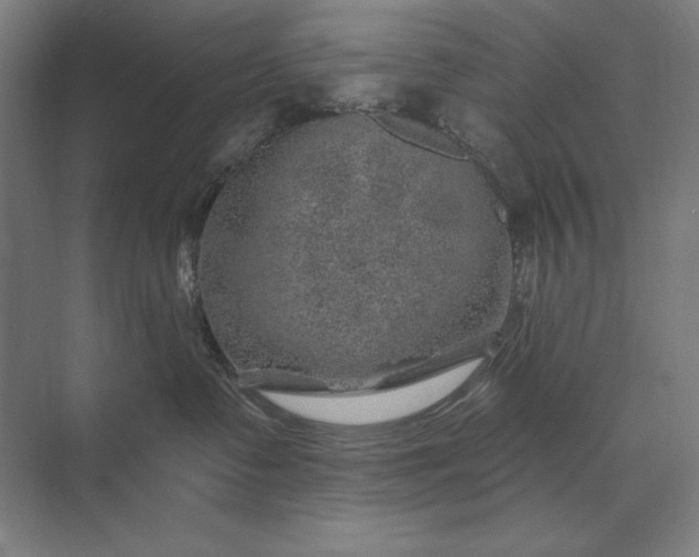 X0000074040335200609061214