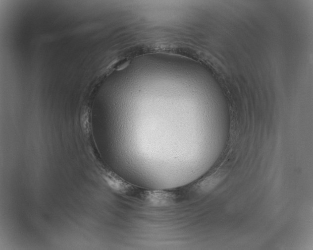 X0000074040336200609061214