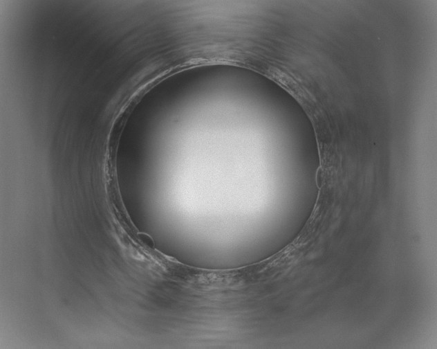 X0000074040338200609061213