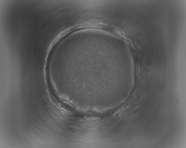 X0000074040340200609061213