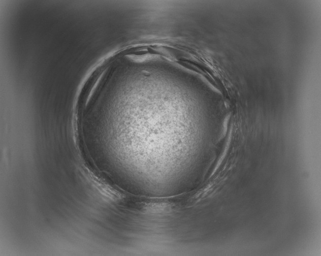 X0000074040342200609061213