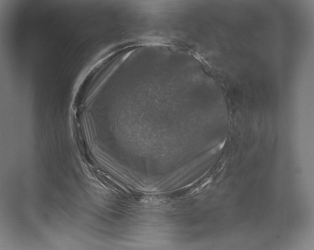 X0000074040343200609061213