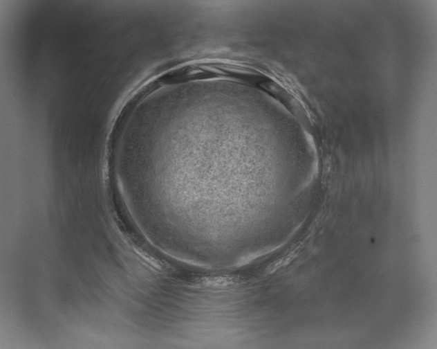 X0000074040344200609061213