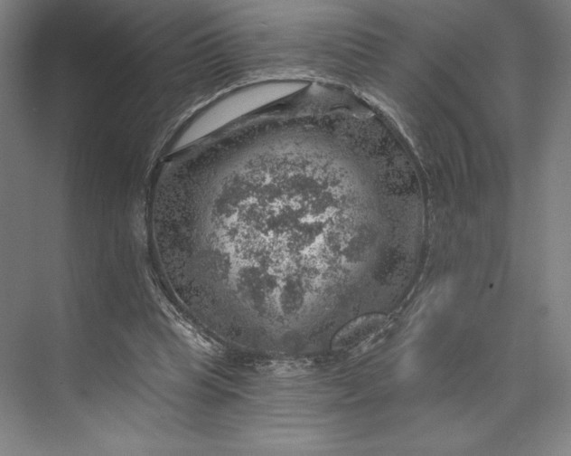 X0000074040345200609061213