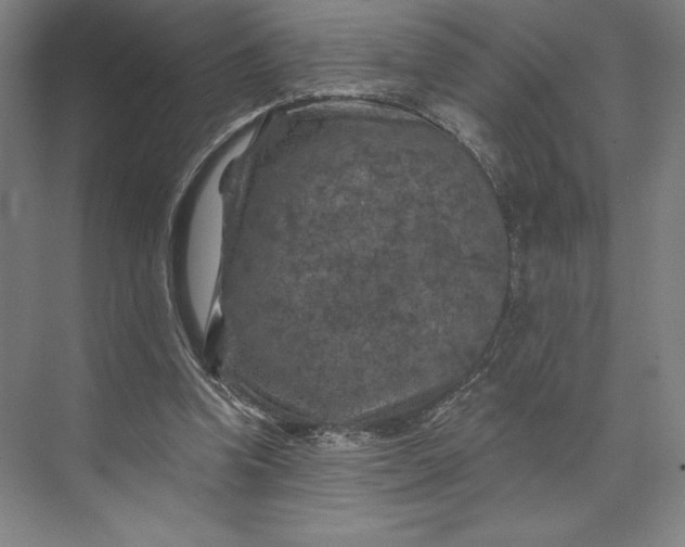 X0000074040346200609061213