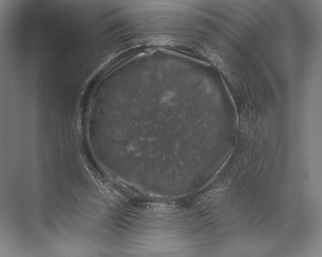 X0000074040347200609061213