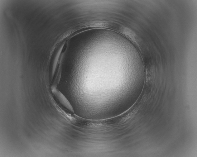 X0000074040349200609061213