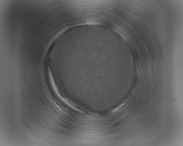 X0000074040350200609061213