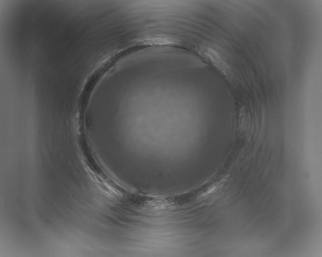 X0000074040351200609061213