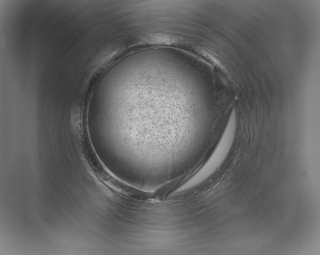 X0000074040352200609061213