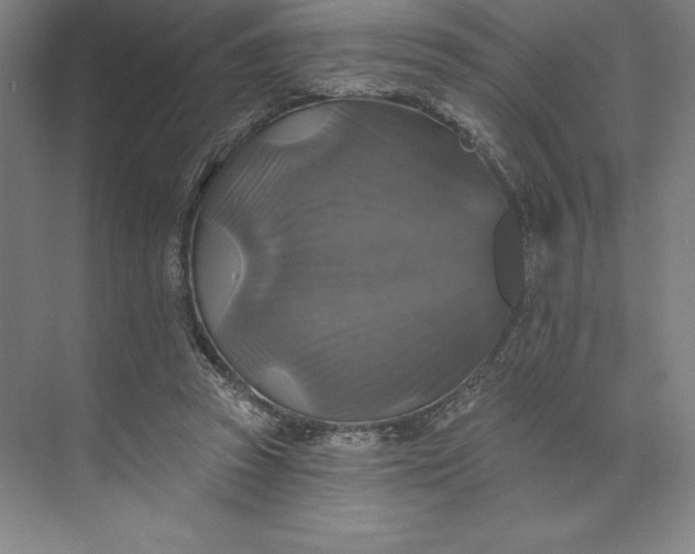 X0000074040353200609061213