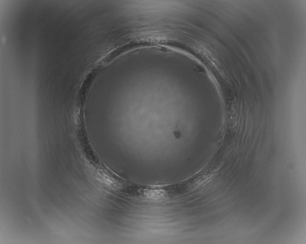 X0000074040355200609061213