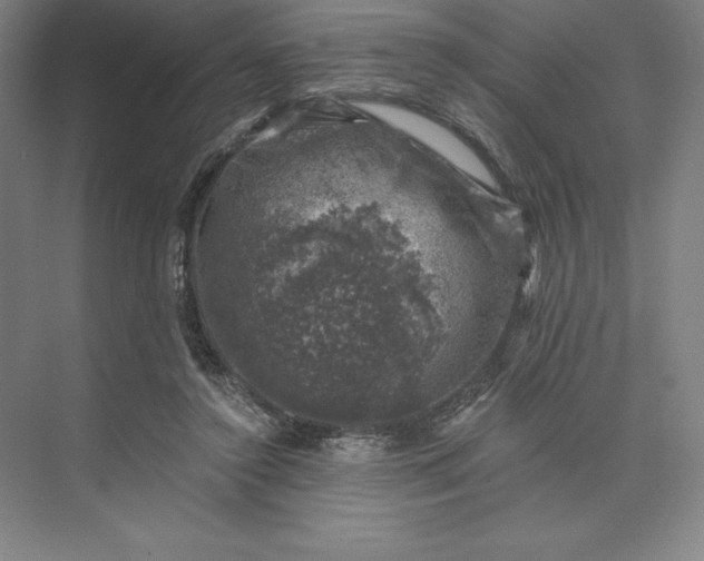 X0000074040356200609061213