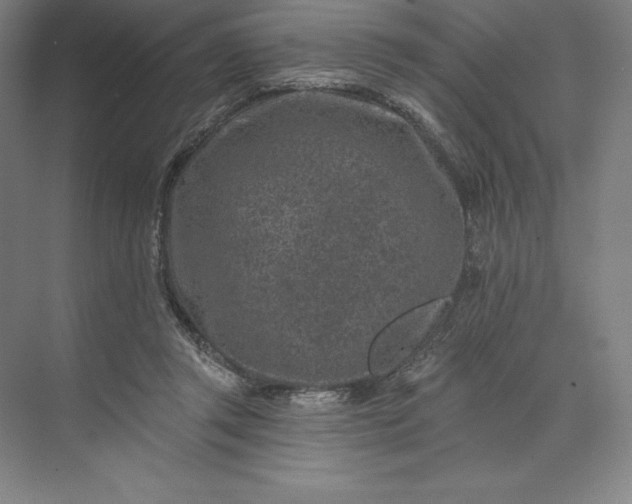 X0000074040357200609061213