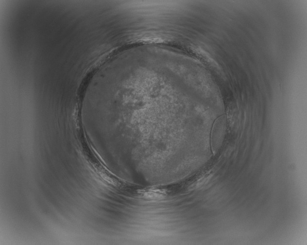 X0000074040359200609061213