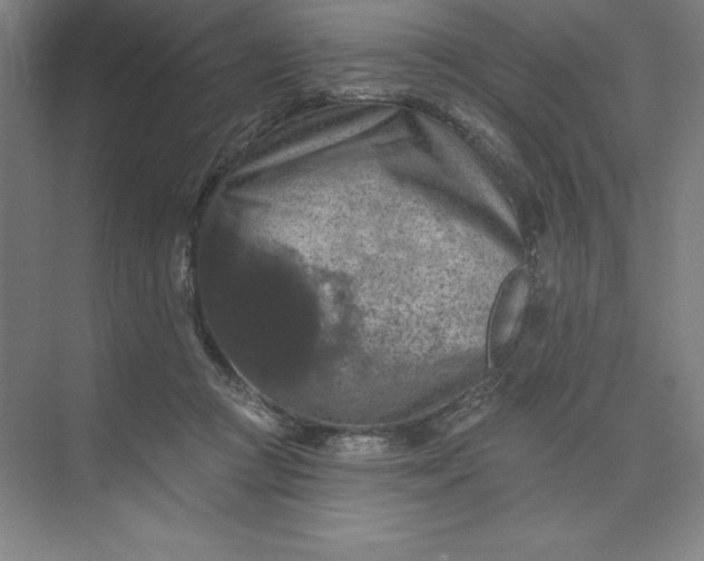 X0000074040361200609061213