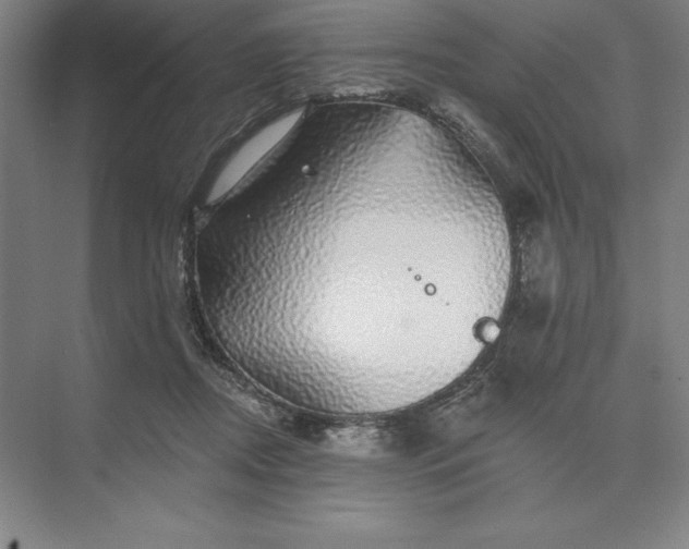 X0000074040362200609061213