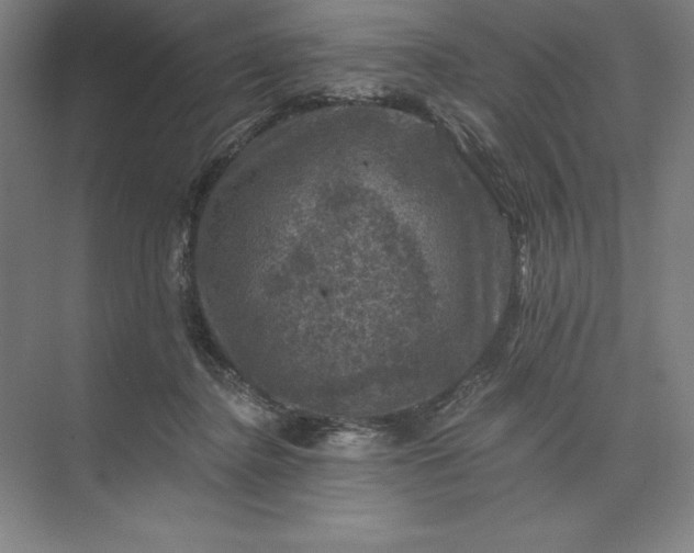 X0000074040364200609061214