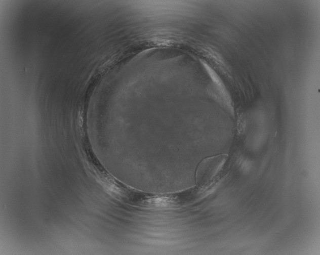 X0000074040365200609061214