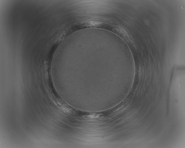 X0000074040366200609061214