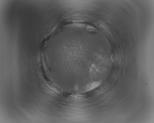 X0000074040367200609061214