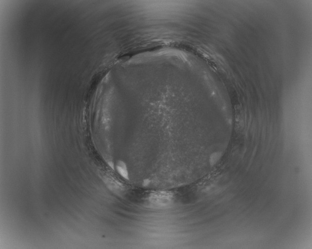 X0000074040369200609061214